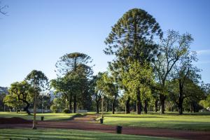 Chiedere l'affidamento di aree a verde pubblico
